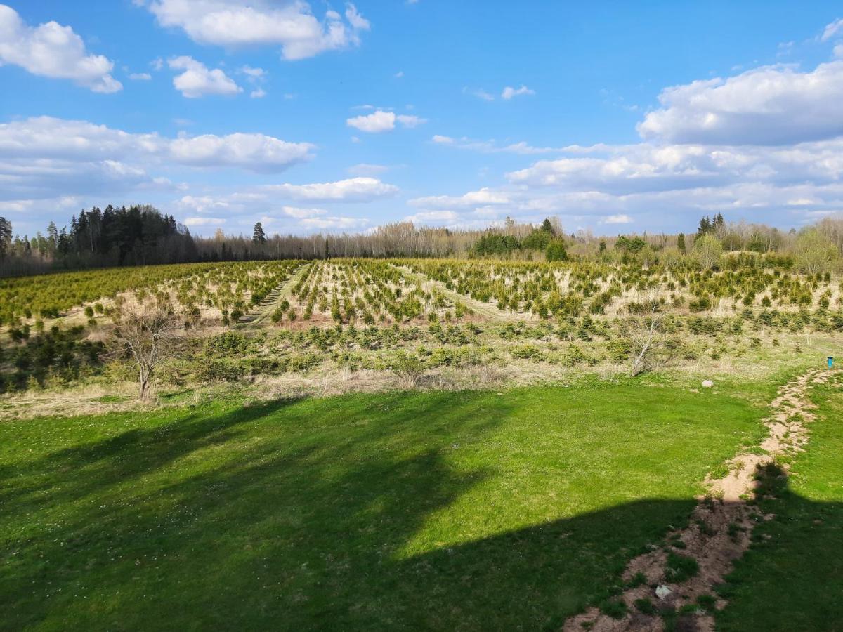 Ezernieki Otel Valka Dış mekan fotoğraf